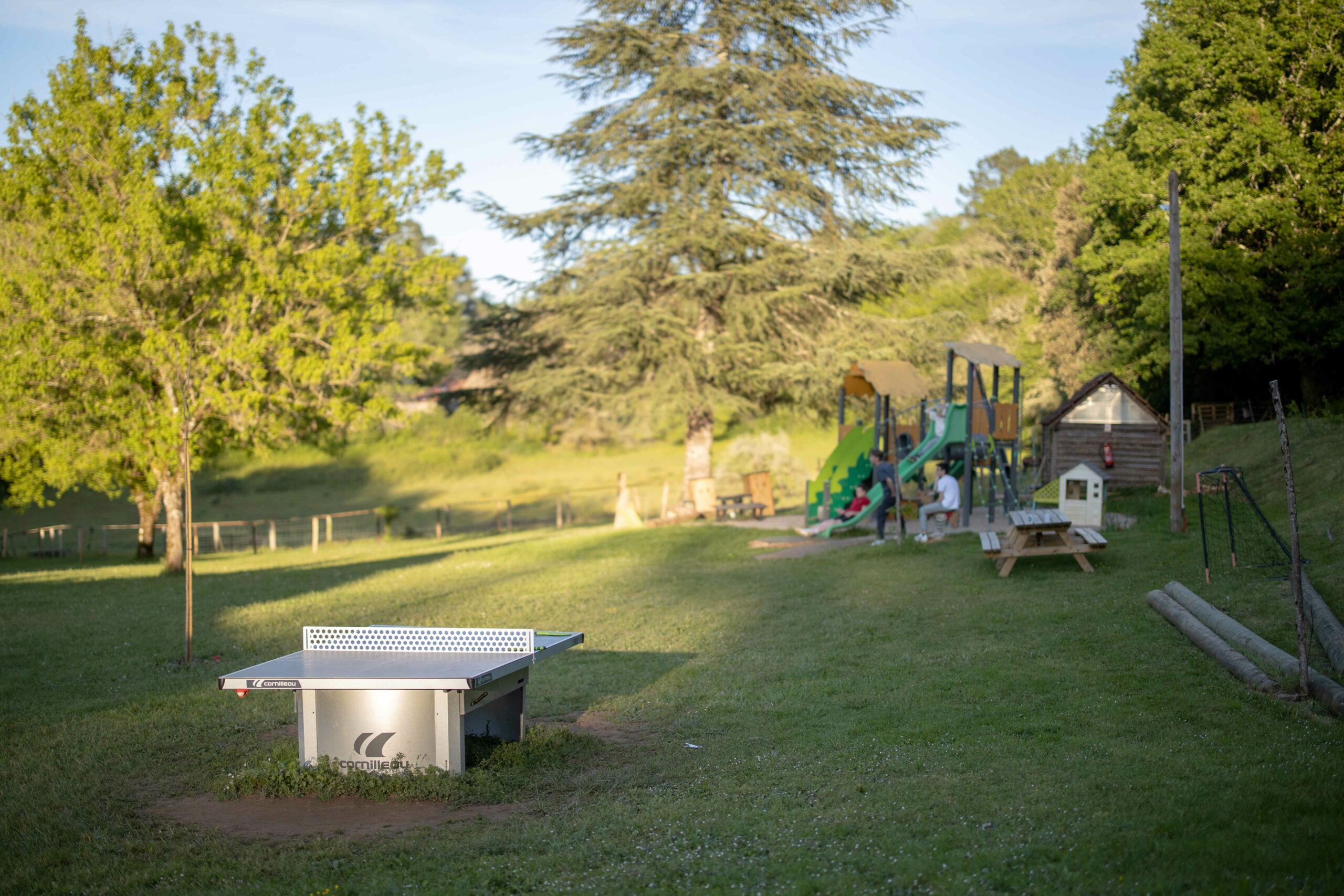 table ping pong au creux des arbres