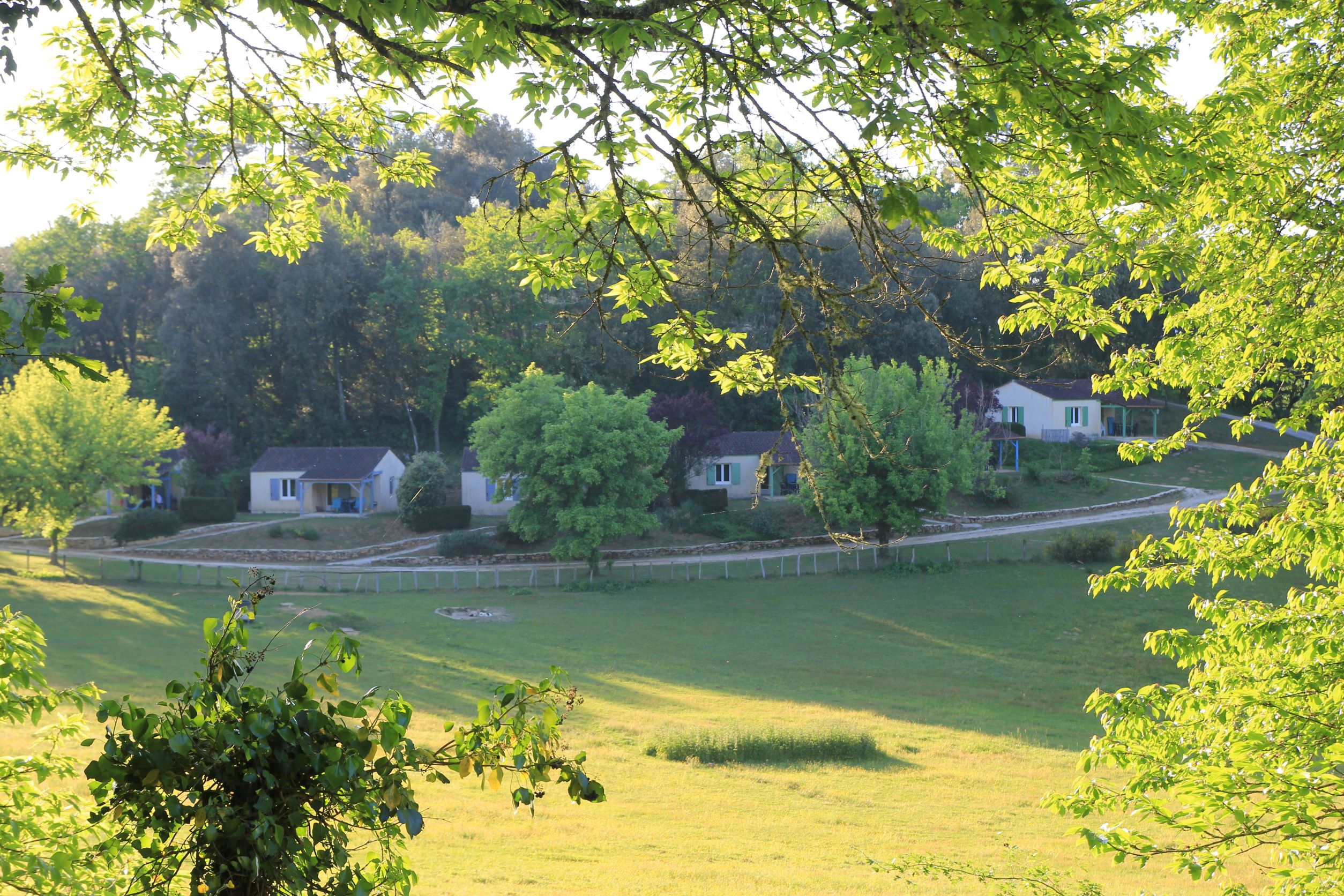 vue nature au creux des arbres